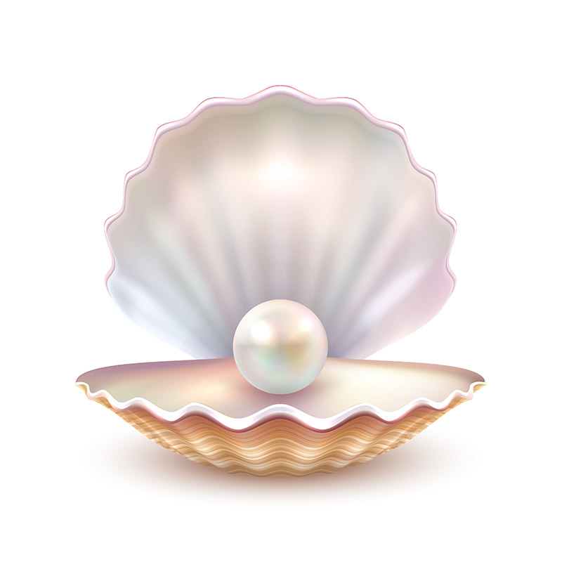 Mithilfe einer gelungenen Personalauswahl die Perlen in einer Muschel finden.